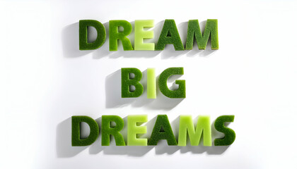 Fototapeta premium Dream big dreams Word