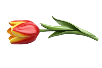 A detailed 3D rendering of a tulip flower with red and yellow petals and green leaves crafted in glossy, high-quality material, isolated on a white background.