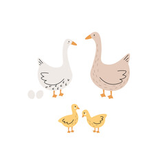 Cute hand drawn goose. Adorable farm birds. Childish print and poster, kids textile and nursery decor. vector cartoon flat isolated illustration