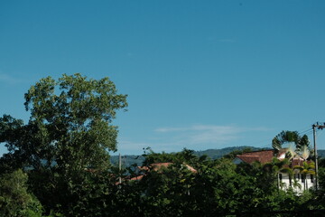Obraz premium Landscape with trees, rooftops, and blue sky