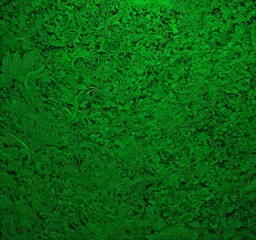 Obraz premium a close-up view textured, green surface with intricate patterns and designs The background is blurred, drawing focus to the detailed patterns on the foreground