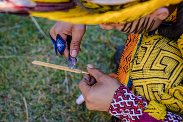 Sao Paulo, SP, Brazil - June 26 2024: Indigenous person preparing medicines traditional culture, the Kambo frog.