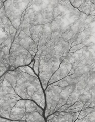 Obraz premium A monochrome tree with bare branches against a light background