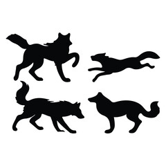 create black silhouette gray wolf set vector with white background
