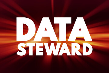 Data Steward - oversight or data governance role within an organization, text concept for presentations and reports