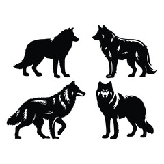 create black silhouette gray wolf set vector with white background