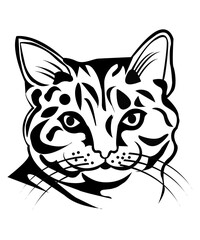 Cat Head SVG Bundle,Complete Cat Breeds,Cat Clipart PNG for cat lover,Cat Silhouette Bundle for Cricut, Instant Download,Cat SVG Bundle, Cat PNG Bundle, Cat Clipart, Kitten svg, Cat Silhouette, Cat SV