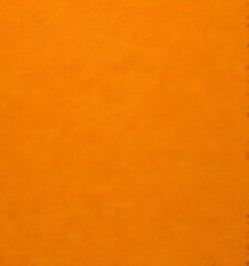 Obraz premium a simple, flat, and unadorned brown color photograph