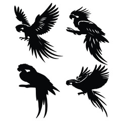 Obraz premium create black silhouette macaw set vector with white background
