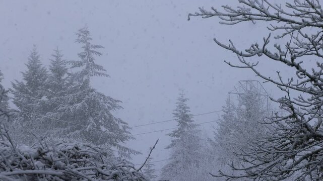 Snowfall In the Pacific Northwest 