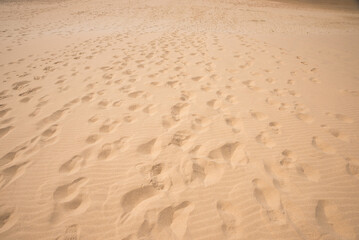 sandy beach background with footprints