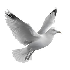 Obraz premium Realistic 3D illustration of a flying seagull
