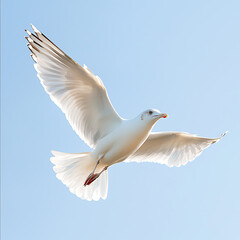 Obraz premium Seagull soaring gracefully against a clear blue sky