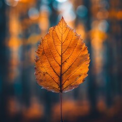 Obraz premium A macro shot capturing the intricate details and vibrant colors of a single autumn leaf against a blurred background