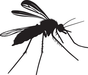 Insect graphic vector silhouette on white background