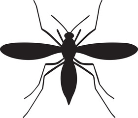 Insect graphic vector silhouette on white background