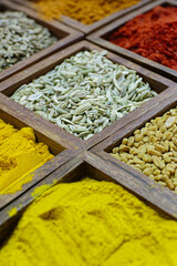 Various exotic spices and seasonings