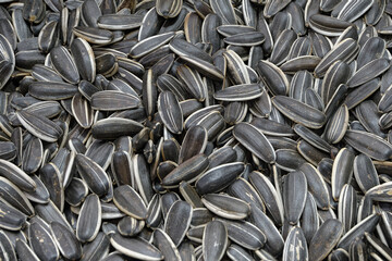 Dried sunflower seeds