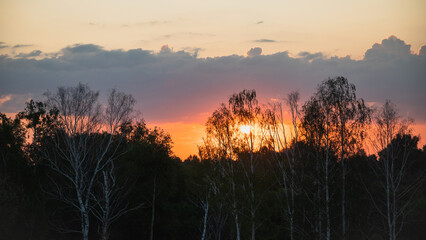 Beautiful colorful sunset in summer time