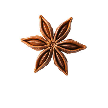 recommend clip art: A detailed brown star anise spice, showcasing its unique star-shaped design perfect for culinary use and decoration.