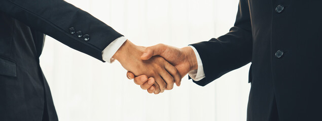 Two business executive shake hand in boardroom, sealing agreement merging two company. Handshake...