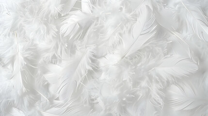 A Close-Up View of Delicate White Feathers Arranged in a Pattern, Creating a Soft and Airy Texture