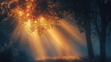 glowing as light filters through from outside