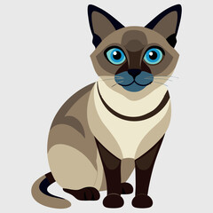 Pet cat vector image illustration and artwork