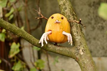 The pumpkin turned into an evil Halloween spirit and sat on a tree branch.