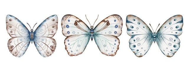 Butterfly Polyphemus set watercolor illustrations. Drawing of insect with light blue Wings on isolated background. Hand drawn clipart of Morpho for cards and icons. Vintage aquarelle sketch of animal.