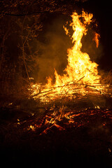 Burning fire. Fire. Night photo