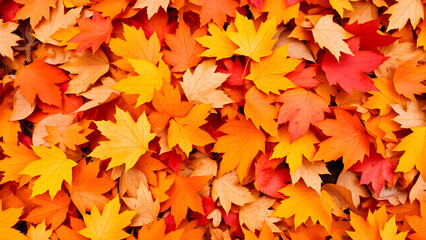 Beautiful mix of orange and yellow maple leaves in autumn, Generative AI