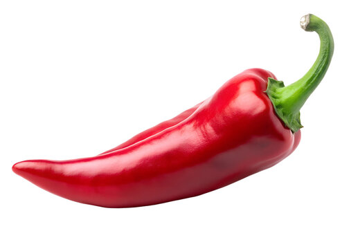 Single red chili pepper isolated on a png background