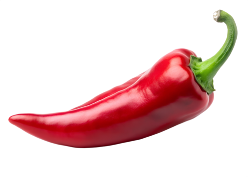 Single red chili pepper isolated on a png background