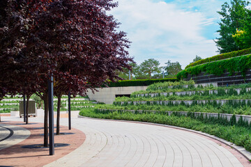 in a public park in summer