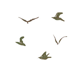 Collection of Flying Bird Illustrations – Cranes in the Sky, Isolated Watercolor Artwork on transparent png background