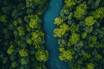 Naklejka premium An aerial view of a river snaking through a lush green forest.
