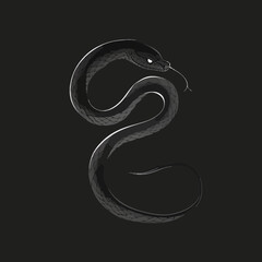 Obraz premium Stylized illustration of a snake on a black background, showcasing artistic creativity and wildlife representation in a modern design.