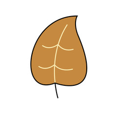 Hand drawn autumn leaf