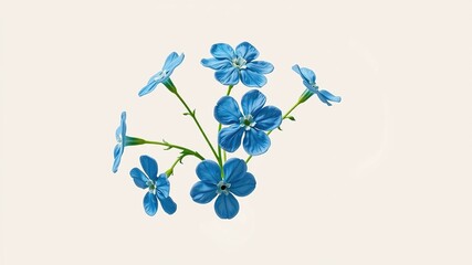 Delicate blue forget-me-not flower outline, rendered in subtle gradient, features five dainty blooms with wispy stems and soft green leaves against a creamy white background.