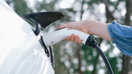 Closeup woman recharge EV electric car's battery at parking lot in natural green park. Clean energy...