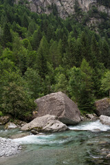 Large boulders sit in the middle of a flowing river surrounded by a dense forest 