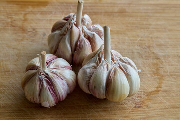 Nothing beats the aroma of fresh garlic. A kitchen staple that adds bold flavor and endless possibilities to any dish. 
