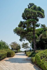 Louis Promenade Park in Haifa city