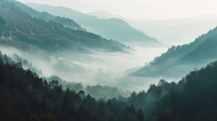 Fototapeta premium A forest landscape shrouded in morning mist, creating an ethereal scene of nature's beauty with layers of fog and greenery.