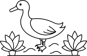 Graceful Duck Nestled Among Lotus Flowers
