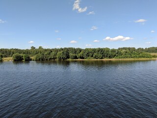 lake in the forest