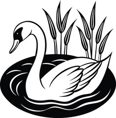 black swan on the lake