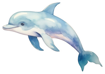 Obraz premium PNG Baby dolphin study animal mammal fish.