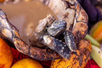 Chicken juane wrapped in bijao leaves. Peruvian jungle food, in all its varieties. Feast of San Juan, Iquitos Peru